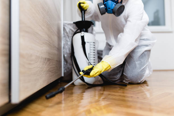 Best Termite Control Services  in Warren, IN