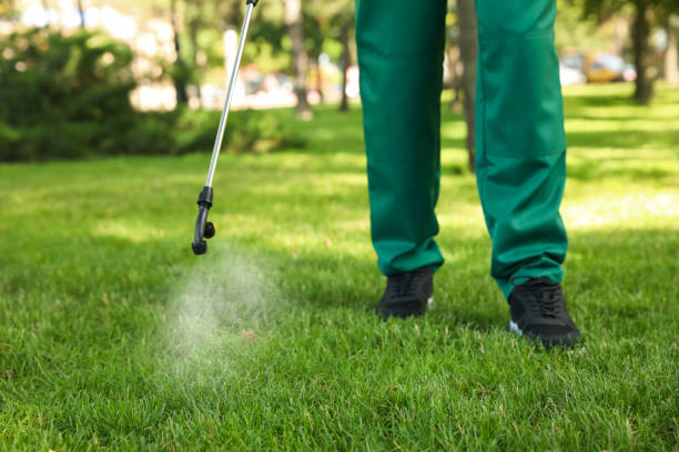 Best Insect Control  in Warren, IN