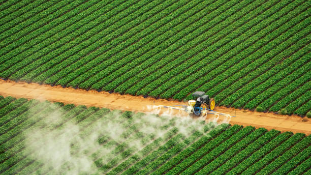 Best Mosquito Control Services  in Warren, IN