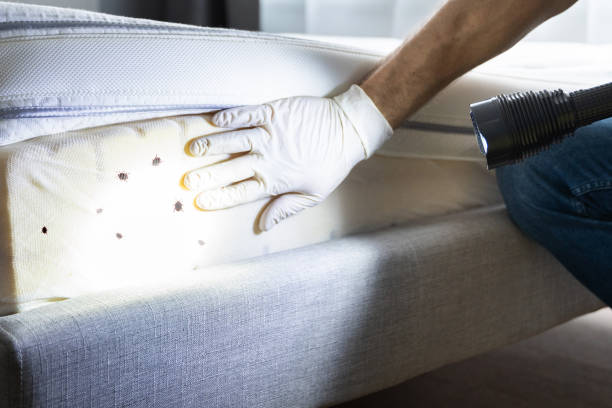 Best Affordable Pest Control Services  in Warren, IN