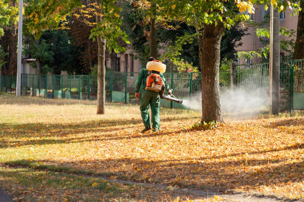 Best Exterminator Services  in Warren, IN