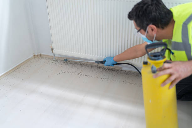 Best Ant Control Services  in Warren, IN