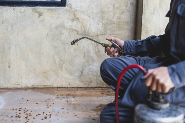 Best Pest Control Near Me  in Warren, IN