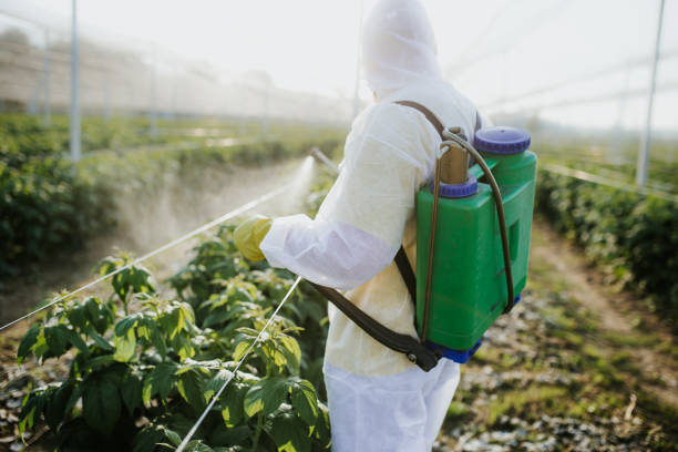 Best Local Pest Control Services  in Warren, IN